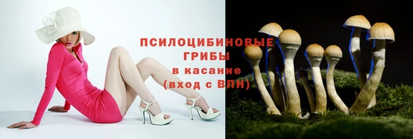не бодяженный Иннополис