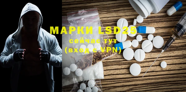 спиды Зеленокумск