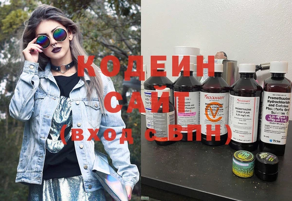 не бодяженный Иннополис