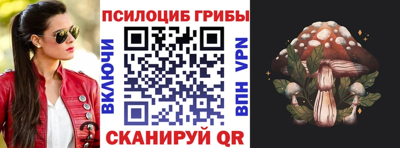 Купить где  Джанкой  Псилоцибиновые грибы мицелий 